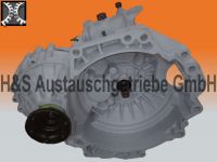 VW Golf IV 1,9 TDI 5-Gang  EGR